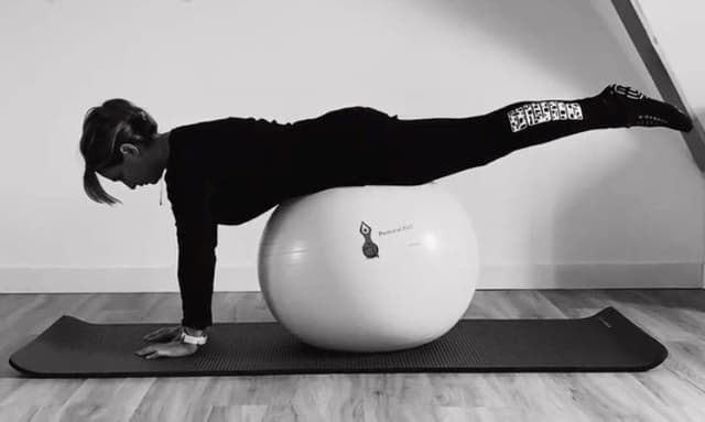 Postural Ball